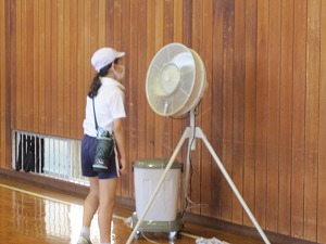 IMG_0083 IMG_0083