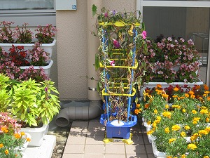 IMG_0108 IMG_0108