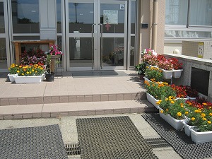 IMG_0106 IMG_0106