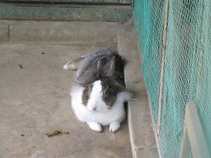 IMG_0126 IMG_0126
