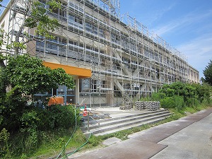 IMG_0125 IMG_0125