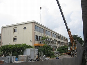 IMG_0141 IMG_0141