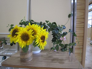 IMG_0118 IMG_0118