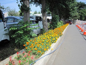 IMG_0120