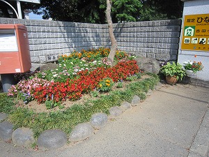 IMG_0121