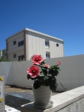 IMG_0019