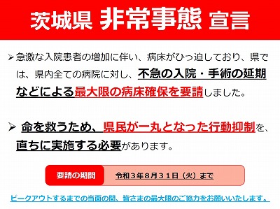 非常事態宣言 非常事態宣言