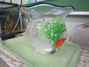 IMG_0029 IMG_0029