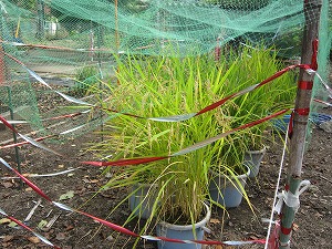 IMG_0055 IMG_0055
