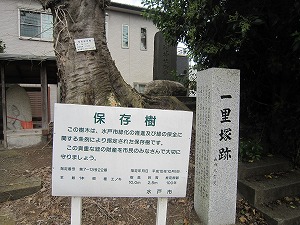 IMG_0077 IMG_0077