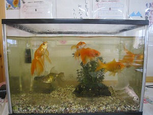 IMG_0118 IMG_0118