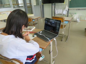 IMG_4495 IMG_4495
