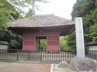 IMG_0081 IMG_0081