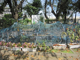 IMG_0186 IMG_0186