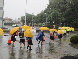 IMG_0018 IMG_0018