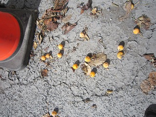 IMG_0024 IMG_0024