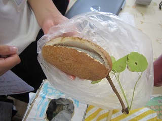 IMG_0211 IMG_0211