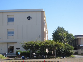 IMG_0255