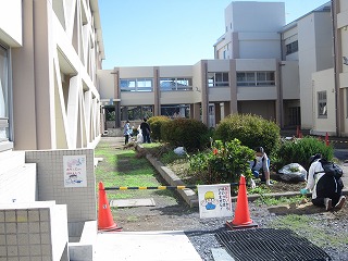 IMG_0258 IMG_0258