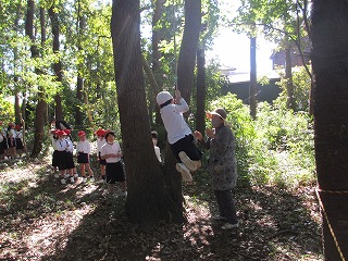 IMG_0145 IMG_0145