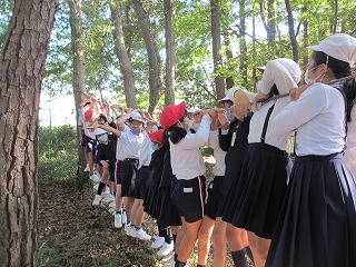 IMG_0142 IMG_0142