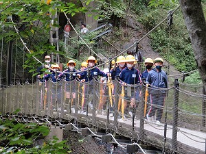 IMG_4558