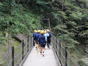 IMG_0074 IMG_0074