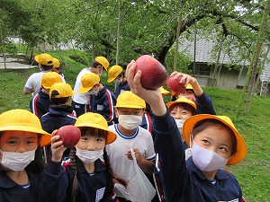 IMG_0320 IMG_0320