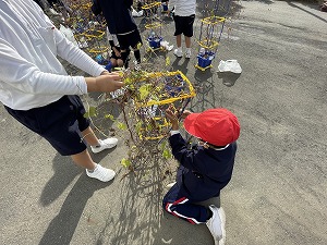 あさがおのつるとり あさがおのつるとり
