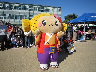 IMG_0491 IMG_0491