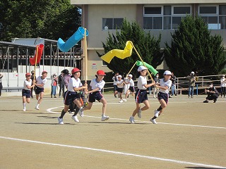 IMG_0516 IMG_0516