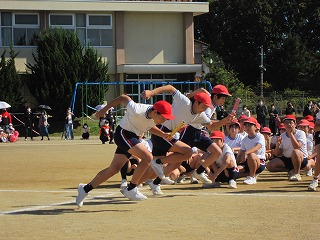 IMG_0525 IMG_0525