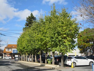 IMG_0145