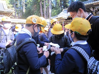 IMG_0233 IMG_0233