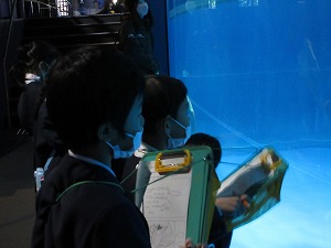 水族館(2) 水族館(2)