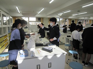 IMG_0005 IMG_0005
