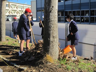 IMG_0010 IMG_0010
