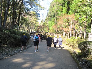 IMG_0245 IMG_0245