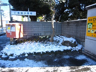 IMG_0021 IMG_0021
