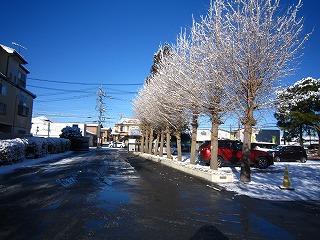 IMG_0019