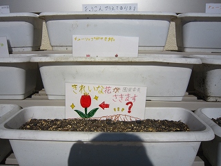 IMG_0067 IMG_0067