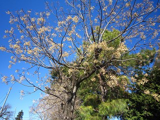 IMG_0069