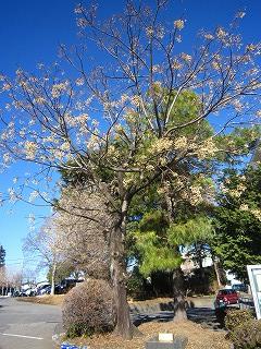 IMG_0070 IMG_0070