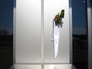 IMG_0056 IMG_0056