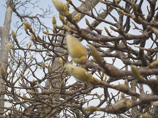 IMG_0073 IMG_0073