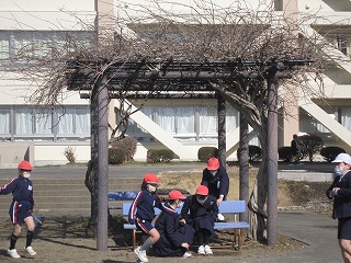 IMG_0298 IMG_0298