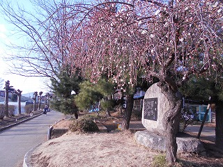 DSCN1892 DSCN1892