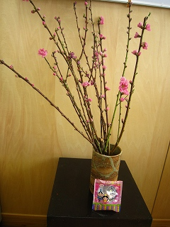 IMG_0112 IMG_0112