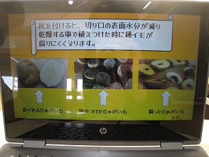 IMG_4198 IMG_4198
