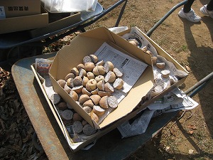 IMG_4162